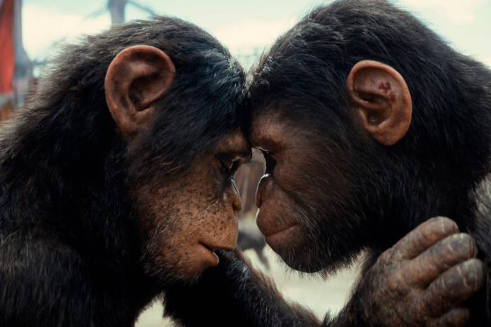 La cinta ha recibido críticas positivas internacionalmente y llega de estreno hoy a Panamá. La cinta ha recibido críticas positivas internacionalmente y llega de estreno hoy a Panamá.