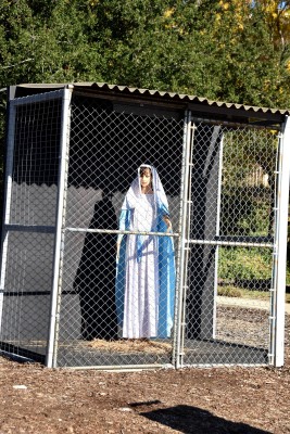 Vista de la Virgen María enjaulada este lunes, en la Iglesia Metodista Unida de Claremont, California Vista de la Virgen María enjaulada este lunes, en la Iglesia Metodista Unida de Claremont, California
