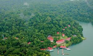 El Instituto Smithsonian de Investigaciones Tropicales (STRI, por sus siglas en inglés) en Panamá. El Instituto Smithsonian de Investigaciones Tropicales (STRI, por sus siglas en inglés) en Panamá.