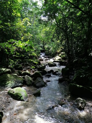 Río Antón Río Antón