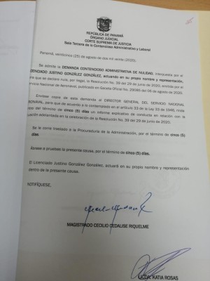 Admisión de la demanda de nulidad Admisión de la demanda de nulidad