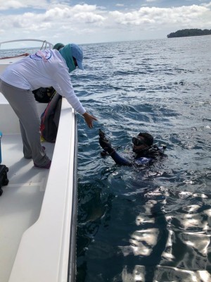 El proyecto permitirán monitorear la vida marina, en especial de especies como las ballenas, delfines, etc. El proyecto permitirán monitorear la vida marina, en especial de especies como las ballenas, delfines, etc.