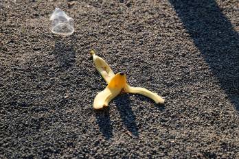 En la Asamblea se busca reducir el desperdicio de alimentos en el país y crear mecanismos para que los excedentes puedan beneficiar a personas en situación de vulnerabilidad. En la Asamblea se busca reducir el desperdicio de alimentos en el país y crear mecanismos para que los excedentes puedan beneficiar a personas en situación de vulnerabilidad.