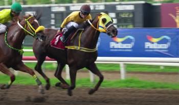 ‘Retwittear’ se acerca a la meta para dominar a ‘La Grande’ y anexarse el Clásico Aproturf. ‘Retwittear’ se acerca a la meta para dominar a ‘La Grande’ y anexarse el Clásico Aproturf.