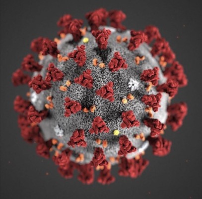 Primera imágenes del Coronavirus proporcionada por el Centro para el control y prevención de enfermedades. Primera imágenes del Coronavirus proporcionada por el Centro para el control y prevención de enfermedades.