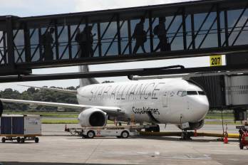 Las aerolíneas recomiendan llegar con al menos tres horas de anticipación. Las aerolíneas recomiendan llegar con al menos tres horas de anticipación.