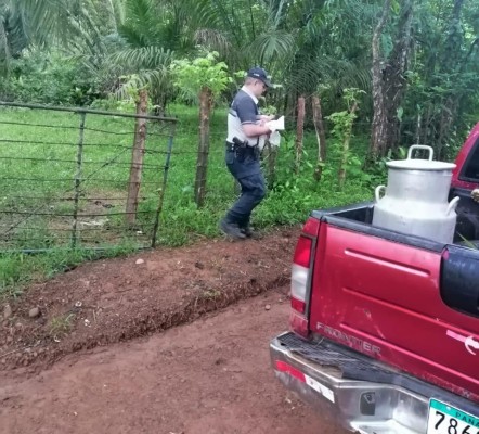 Rescatan a recién nacida en Chiriquí Rescatan a recién nacida en Chiriquí