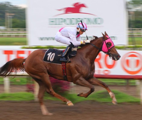 'Prestigioso' se acerca a la meta para ganar la prueba clásica lleno de poder. (Monroe HPR). 'Prestigioso' se acerca a la meta para ganar la prueba clásica lleno de poder. (Monroe HPR).