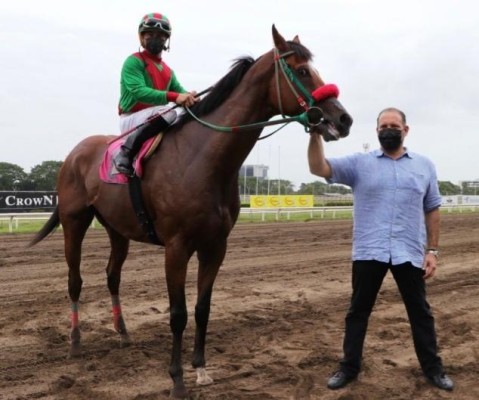 Monty Motta, recibe a uno de sus ejemplares, luego de haber obtenido el triunfo en una competencia hípica. Monty Motta, recibe a uno de sus ejemplares, luego de haber obtenido el triunfo en una competencia hípica.