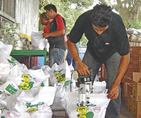 Según el exdirector del IMA, hay controles para recibir y despachar el arroz. Según el exdirector del IMA, hay controles para recibir y despachar el arroz.