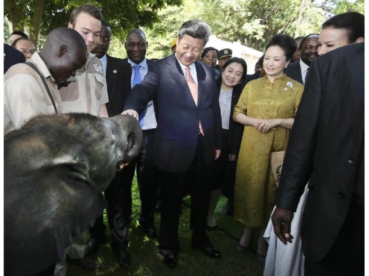 El presidente chino, Xi Jinping (centro), y su esposa Peng Liyuan visitan un santuario de vida silvestre en Harare, Zimbabwe, el 2 de diciembre de 2015. El presidente chino, Xi Jinping (centro), y su esposa Peng Liyuan visitan un santuario de vida silvestre en Harare, Zimbabwe, el 2 de diciembre de 2015.