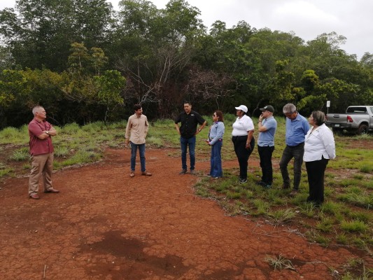 La investigación que se realizó para medir el impacto ambiental se encuentra en el sitio web de Puerto Barú y en la plataforma 'Prefacia' de MiAmbiente. La investigación que se realizó para medir el impacto ambiental se encuentra en el sitio web de Puerto Barú y en la plataforma 'Prefacia' de MiAmbiente.