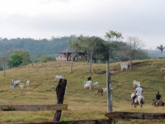 Sus habitantes viven de la ganadería y la pesca. Sus habitantes viven de la ganadería y la pesca.