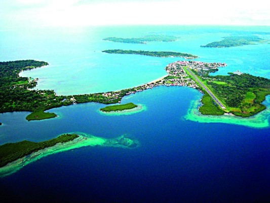 Diversidad biológica de la provincia de Bocas del Toro Diversidad biológica de la provincia de Bocas del Toro