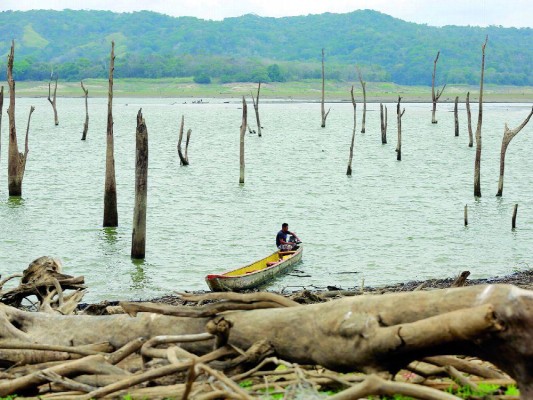 El fenómeno de El Niño está relacionado con el calentamiento del Pacífico oriental ecuatorial. El fenómeno de El Niño está relacionado con el calentamiento del Pacífico oriental ecuatorial.
