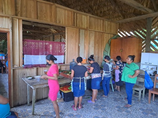 Son 12 mujeres de la Comarca Naso Tjër Di, que trabajan como hormiguitas desde el alba hasta el ocaso. Son 12 mujeres de la Comarca Naso Tjër Di, que trabajan como hormiguitas desde el alba hasta el ocaso.