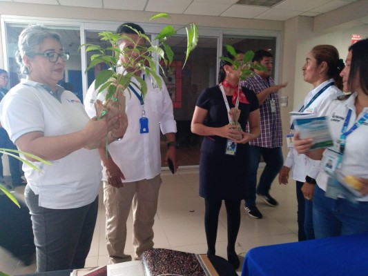 También se recordó las fortalezas del turismo ambiental. También se recordó las fortalezas del turismo ambiental.