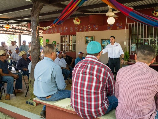 Entre las propuestas para fortalecer al agro, el candidato presidencial resaltó la siembra de nuevos cultivos. Entre las propuestas para fortalecer al agro, el candidato presidencial resaltó la siembra de nuevos cultivos.