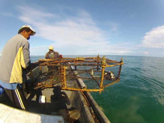 Pescadores artesanales se reunirán en Costa Rica del 26 al 29 de septiembre. Pescadores artesanales se reunirán en Costa Rica del 26 al 29 de septiembre.