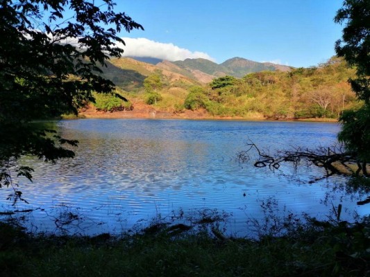 El Lago Chenta está rodeado de mucha vegetación. El Lago Chenta está rodeado de mucha vegetación.