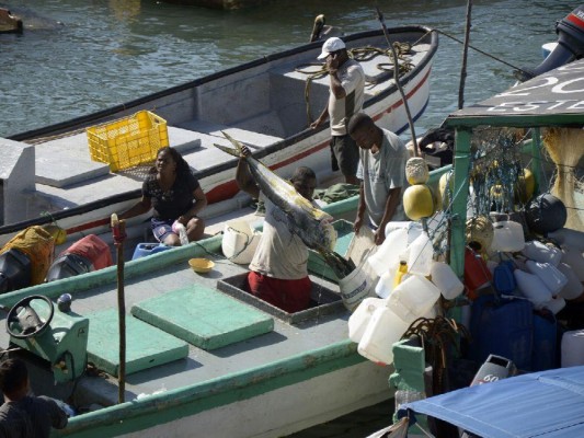 La veda regula la licencia de pesca para las naves de servicio interior que utilizan palangre. La veda regula la licencia de pesca para las naves de servicio interior que utilizan palangre.