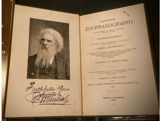 La trágica historia detrás de una colección de fotografías del Panamá de 1875 La trágica historia detrás de una colección de fotografías del Panamá de 1875