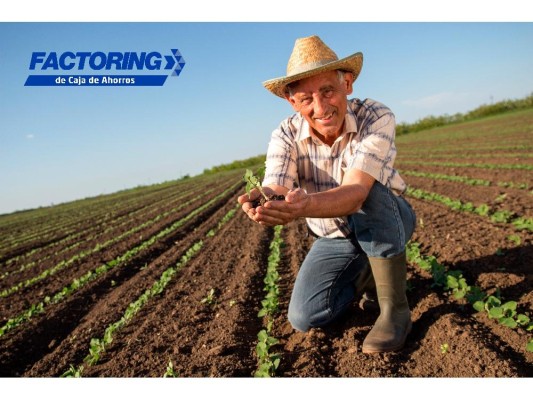 Caja de Ahorros financia transacciones comerciales mediante Factoring, como apoyo a la reactivación económica Caja de Ahorros financia transacciones comerciales mediante Factoring, como apoyo a la reactivación económica