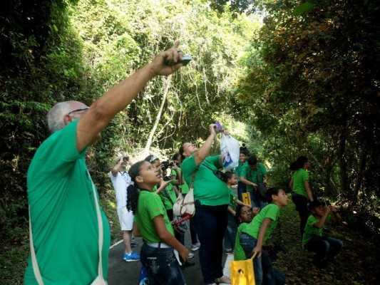 La Sociedad Audubon Panamá y BirdLife firmaron un acuerdo para continuar las investigaciones sobre las aves migratorias. La Sociedad Audubon Panamá y BirdLife firmaron un acuerdo para continuar las investigaciones sobre las aves migratorias.