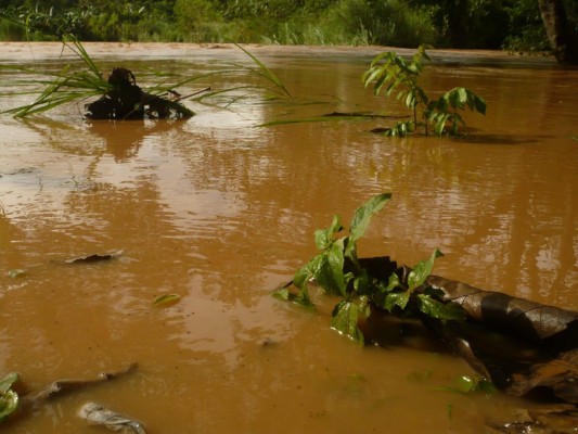 Inundaciones y cierre de puestos de vacunación por fuertes lluvias. Inundaciones y cierre de puestos de vacunación por fuertes lluvias.