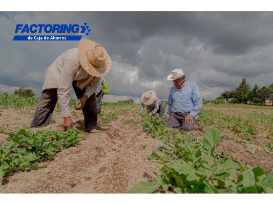 Caja de Ahorros financia transacciones comerciales mediante Factoring, como apoyo a la reactivación económica Caja de Ahorros financia transacciones comerciales mediante Factoring, como apoyo a la reactivación económica