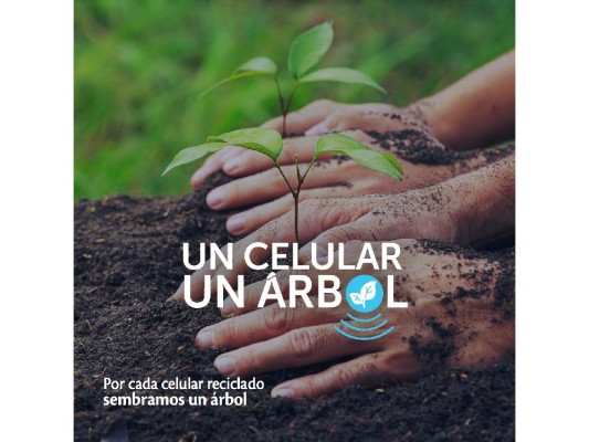 Un Celular, un árbol; Iniciativa integral para la gestión ambiental moderna Un Celular, un árbol; Iniciativa integral para la gestión ambiental moderna