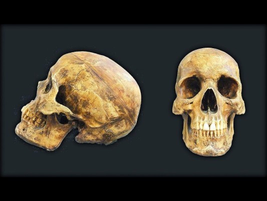 Un estudio señala el posible periodo en que la humanidad hubiese podido considerarse como extinta. Un estudio señala el posible periodo en que la humanidad hubiese podido considerarse como extinta.