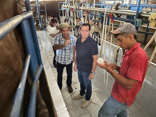 Durante su visita a la provincia de Los Santos, Torrijos se reunió con productores de leche de El Higo. Durante su visita a la provincia de Los Santos, Torrijos se reunió con productores de leche de El Higo.