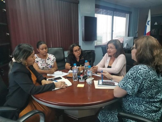 Imagen de la reunión realizada el pasado jueves 29 de junio. Imagen de la reunión realizada el pasado jueves 29 de junio.