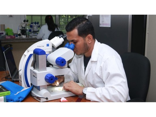UNACHI: Investigación e Innovación UNACHI: Investigación e Innovación