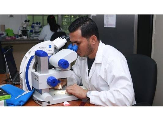 UNACHI: Investigación e Innovación UNACHI: Investigación e Innovación