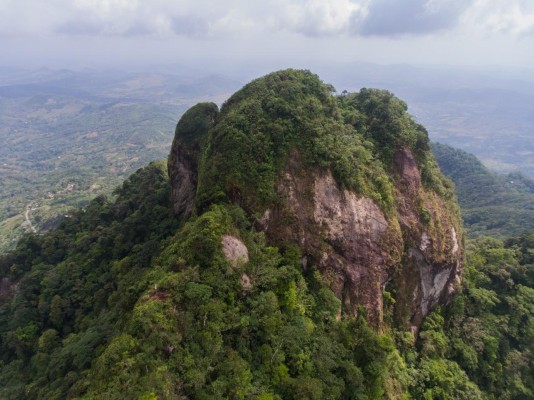 Los parques nacionales poseen una riqueza natural invaluable. Los parques nacionales poseen una riqueza natural invaluable.