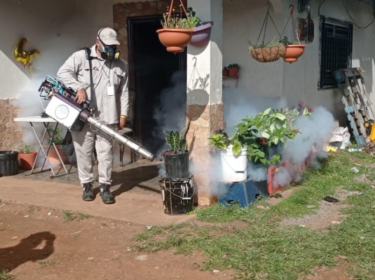 El Minsa recomienda eliminar los criaderos, limpieza y prevención son la clave para evitar enfermedades como dengue, hantavirus, malaria, leishmaniasis y chikunguya en el país. El Minsa recomienda eliminar los criaderos, limpieza y prevención son la clave para evitar enfermedades como dengue, hantavirus, malaria, leishmaniasis y chikunguya en el país.