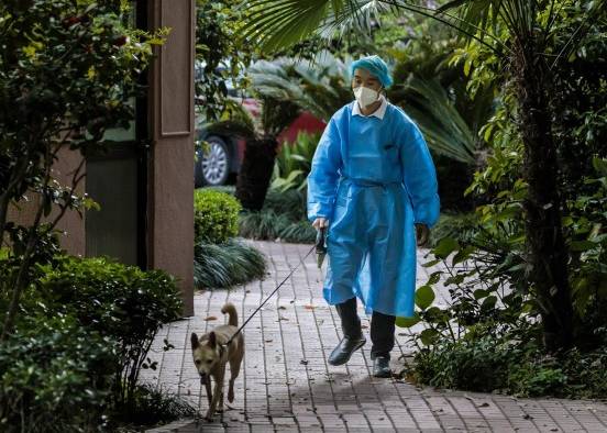 Un miembro de seguridad pasea a un perro encerrado en una comunidad residencial bajo cuarentena en Shanghai, Un miembro de seguridad pasea a un perro encerrado en una comunidad residencial bajo cuarentena en Shanghai,