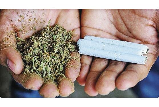 En Uruguay hay 17 farmacias que venden la hierba En Uruguay hay 17 farmacias que venden la hierba