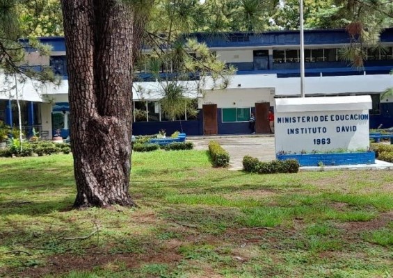 El Instituto David tuvo sus inicios en 1963 con una matrícula de 15 grupos de primer año. El Instituto David tuvo sus inicios en 1963 con una matrícula de 15 grupos de primer año.