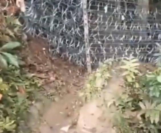 En las redes sociales circulan videos que muestran la cerca en las trochas y en el audio se escucha la queja de los migrantes por esta construcción. En las redes sociales circulan videos que muestran la cerca en las trochas y en el audio se escucha la queja de los migrantes por esta construcción.