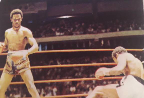 Eusebio Pedroza tuvo un récord de 41 peleas (25 Kos)-6-1, y uno sin decisión. Eusebio Pedroza tuvo un récord de 41 peleas (25 Kos)-6-1, y uno sin decisión.