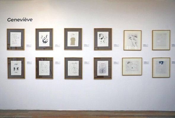 La muestra la integra la colección 'Geneviève' que consiste en 12 dibujos sobre papel Japón. La muestra la integra la colección 'Geneviève' que consiste en 12 dibujos sobre papel Japón.