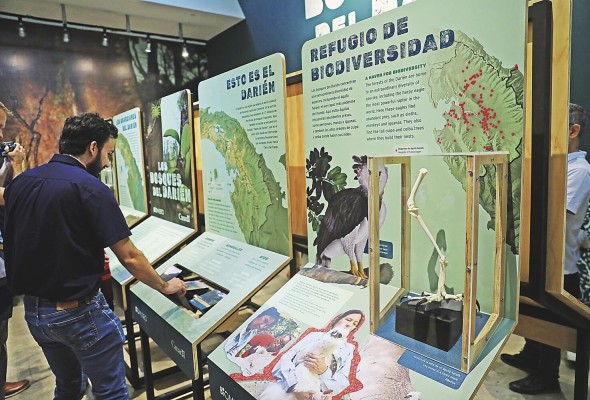 En 'Los Bosques del Darién' se destacan la labor de biólogos como Karla Aparicio. En 'Los Bosques del Darién' se destacan la labor de biólogos como Karla Aparicio.