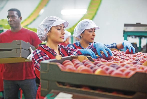 Se prevé que en 2023 los trabajadores se adueñen de su tiempo y exijan jornadas reducidas, según Forbes. Se prevé que en 2023 los trabajadores se adueñen de su tiempo y exijan jornadas reducidas, según Forbes.