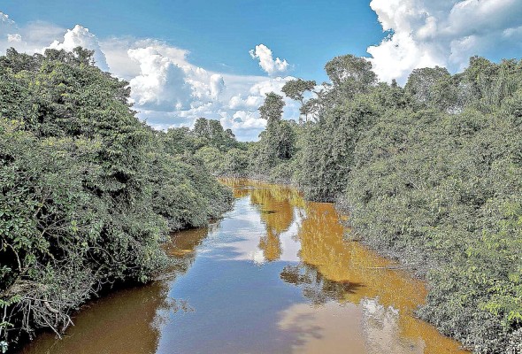 La Amazonía en Brasil Archivo | EFE/Beethoven Delano La Amazonía en Brasil Archivo | EFE/Beethoven Delano