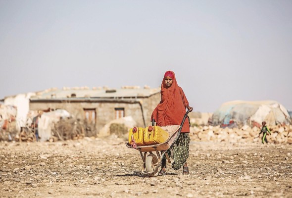 Las graves sequías, la pandemia y las consecuencias de la guerra en Ucrania han agravado la situación alimentaria en regiones de África y América Latina. Las graves sequías, la pandemia y las consecuencias de la guerra en Ucrania han agravado la situación alimentaria en regiones de África y América Latina.