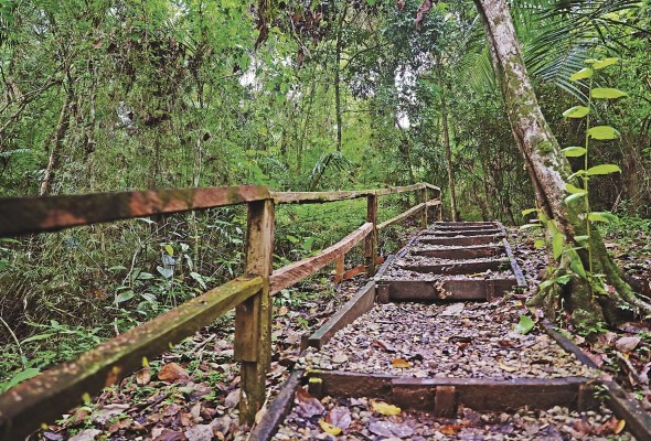 El Parque Natural Metropolitano cuenta con siete senderos. El Parque Natural Metropolitano cuenta con siete senderos.