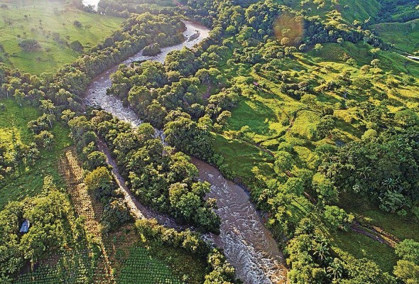 Según Sergio Feoli Boraschi, un corredor biológico es un espacio geográfico donde se da la posibilidad de hacer manejo sostenible de los recursos naturales. Según Sergio Feoli Boraschi, un corredor biológico es un espacio geográfico donde se da la posibilidad de hacer manejo sostenible de los recursos naturales.